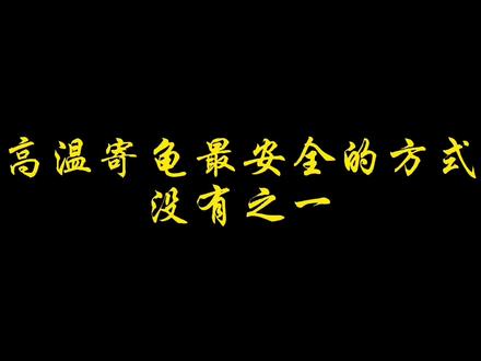 高温天如何安全打包,看完这个视频,全部给你解决#养龟 #蛋龟 #养龟人 #爱玩龟的学长 #打包发货