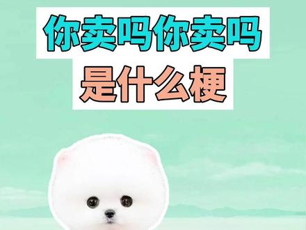 你卖吗你卖吗是什么梗? #你卖吗你卖吗 #茶杯犬 #杯子狗 #梗 #抽象