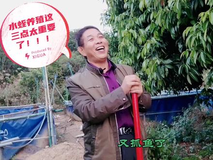 水蛭养殖记住这三点,祝你虎年行大运发大财 #三农 #振兴乡村 #农业技术 #农村创业