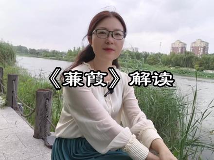 《诗经》里的《蒹葭》解读#古诗词 #古诗 #语文 #初中课文