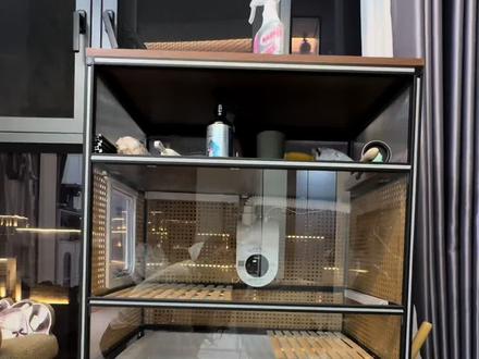 升级版毛孩子独立卫生间#周转箱 #周转箱猫砂盆 #自制猫砂盆 #真实经验分享计划
重点提醒:1-先买合适的周转箱 ,并要求商家帮忙把门的位置以及正面要装亚克力板的地方切割好。 2- 确认好周转箱的实际尺寸后再购买铝型材。3-亚克力板(5mm)的长宽在周转箱的长宽基础+1cm,并要求商家切割预留好装门以及新风机排气管的位置,还有每块板子角的切口(这个网上教程都一致)4-藤编网要配合购买亚克力无痕胶水 粘到亚克力板上后再进行安装。5-安装顺序要从上往下 ,从三通配件开始安装。