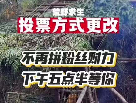 这样好!有钱没钱下午五点半,准时为你喜欢的选手投出宝贵一票🎫#荒野求生 #张家界七星山骆驼杯 #老六荒野 #张家界七星山