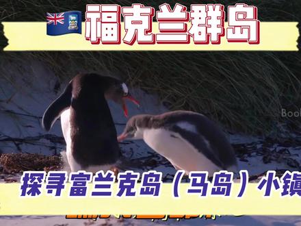 “探寻富兰克岛最壮美的海洋景观:浩瀚海洋与雄伟山脊的完美融合 #旅行攻略 #旅游攻略 #vlog旅游