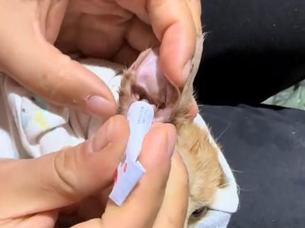 我的方法不是最好的,只是最便宜容易的