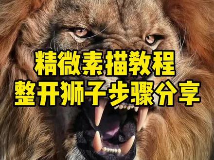 #精微素描 #素描 #少儿美术教育 精微素描《狮子王》步骤分享 材料碳笔、木炭条、美妆蛋、纸擦笔~