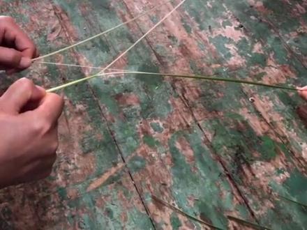 用莎草的茎预测天气,你有过这样的童年经历吗?