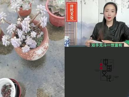 3.89 ATL:/ 和 @逸云师姐 一起 # 合拍 ,的确双手无斗十个簸箕的女人相夫教子旺夫命可是娶到她男人却不懂珍惜娶不到她的却觉得可惜😂所以说旺夫不如旺自己,性格的确是固执,觉得男人这个不好换下一个,下个不好再换一个现在中国男多女少的社会就不信遇不到一个一心一意对我好的🤔