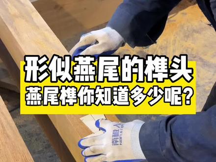 在古建筑木结构中基本上都是榫卯结构组成的,那么燕尾榫是榫卯结构中最常见用拉拉结联系垂直构件的结构,大家了解多少呢?#古建筑 #榫卯结构 #古建木结构施工 #古建木结构厂家 #燕尾榫