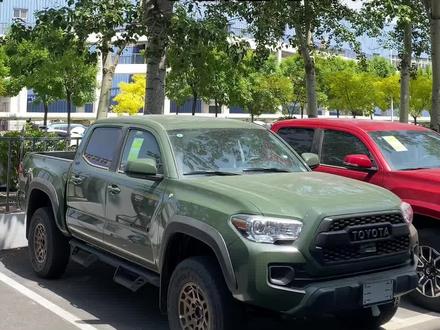 #丰田塔库玛 可以办三十年旅居手续