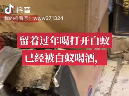 白蚁会腐蚀酒嘛?#热搜 #热点 #头条