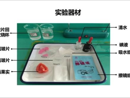 兰州中考生物实验#兰州中考