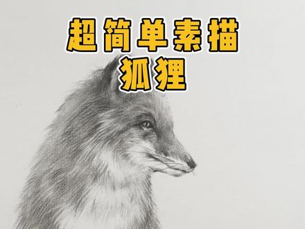 素描小狐狸教程 #素描 #素描动物教程 #美术生 @DOU+小助手