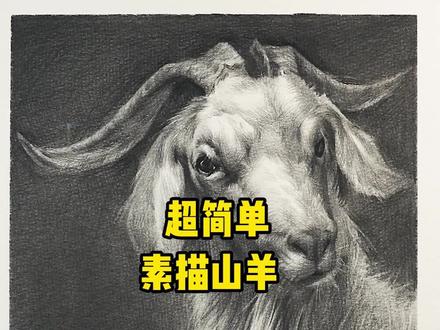 教你画超简单素描山羊头#素描 #素描动物