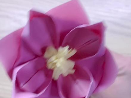 折个海棠花,有没有折的更好看的~ #手工折纸 #折纸教程 #抖音折纸 #一起玩手工吧 #亲子手工