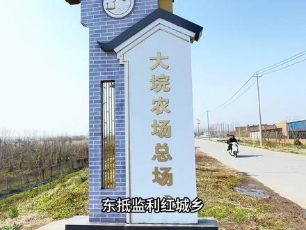 湖北乡镇风貌:监利市大垸管理区#荆州 #监利 #大垸农场 #乡镇