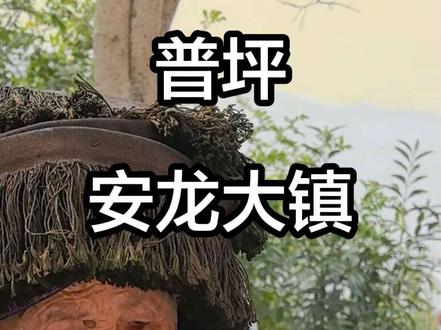 普坪,安龙第一大镇,颇有气势
年轻人们回来了,满街窜
家乡的各种小吃填满他们的胃
满脸的笑