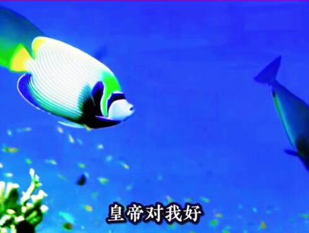 雨荷让水,明显是以文代史的手法,不是螨蚁背后捣鬼,你信吗?#华夏文明 #夏雨荷#汉服