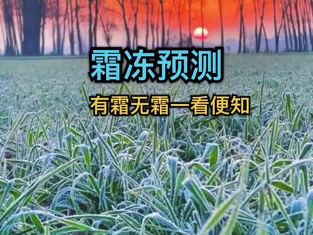 困扰我多年的问题:晴朗无风的夜晚为何会起霜#地理知识 #霜冻 #气象知识