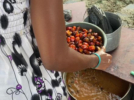 棕榈树上结很多棕榈果,制作成棕榈油简单又便宜,从小就吃这个油 #非洲生活 #棕榈油提炼 #纯天然无添加 #民间传统美食