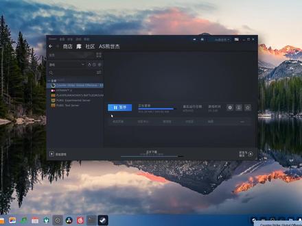 如何在deepin下安装steam,同时运行csgo?#深度操作系统