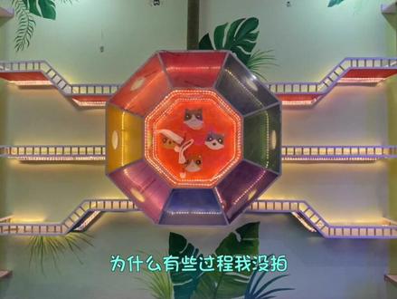 动物世界主题猫屋完工,为了打造猫城堡,脚上留了一道疤 #梦幻猫城堡 #猫