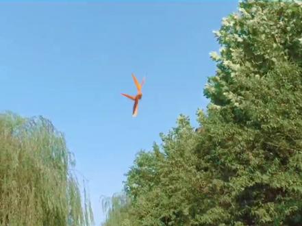 X翼空翻回旋机,特技动作嘎嘎的#纸飞机 #回旋纸飞机 #我要上热门 #折纸 @DOU+小助手 #手工