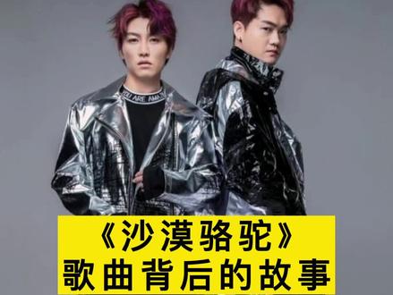 《沙漠骆驼》歌曲背后的故事#音乐故事 #我要上热门