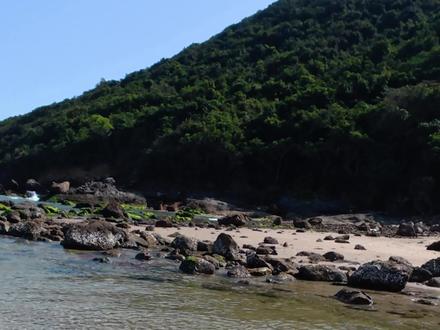 石狗公?石九公?#海钓#钓鱼#深圳天文台#岸投#西涌 #岸投