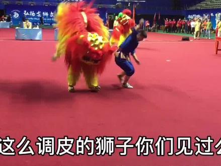 #上热门 这两只也太难训了,太调皮了#北狮#召唤我的神兽 #传统文化