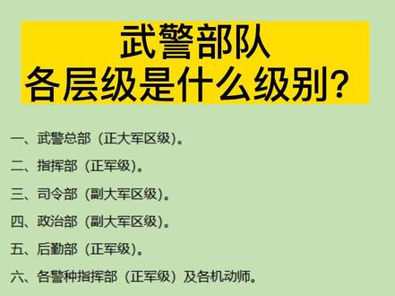 武警部队各层级是什么级别?#职场 #警察 #公务员