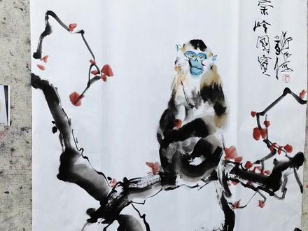 应粉丝要求,画一幅秦岭国宝,金丝猴#水墨写意 #国画