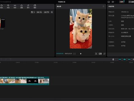 【第二课】100%抖音快手短视频去重,国际版抖音去重教程视频搬运,过原创,消重伪原创实操,去重消重实操,PR剪映去重消重,去重注意事项#去重 #伪原创 #搬运