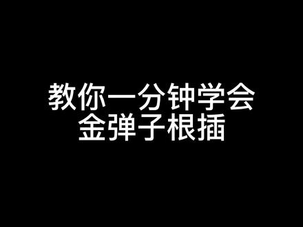 一分钟教你快速学会#金弹子 根插#抖音搜索流量来了