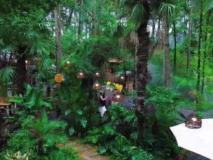 林地已经成为做农文旅项目的首选用地,有三大优势!#林地 #农场 #营地 #农庄 #露营