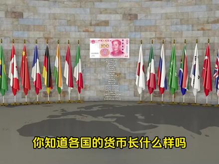 各国货币样式对比和汇率换算 #汇率换算 #数据可视化 #货币 #钱币 #了解人民币爱护人民币