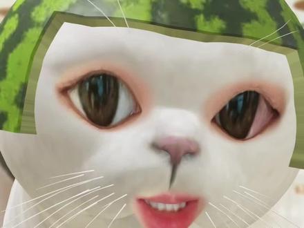 这几种伤害小猫的行为 看看你有没有要改的呢#小猫日记 #猫咪知识科普
