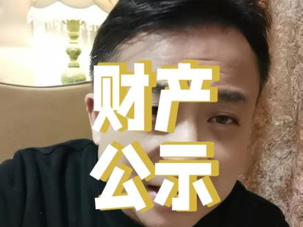 财产公示制度 为什么不能够执行呢?