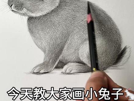 超简单又好看的小兔子教程! #素描 #热点 #绘画教程 #素描教程 #画兔子
