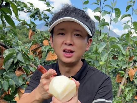 炎热的夏天,来一口酥脆多汁,香甜可口的水晶梨。真的很爽口。#水晶梨 #秋月梨