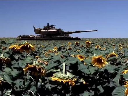 向日葵,为什么你要低着头#战争 #电影 #黎巴嫩