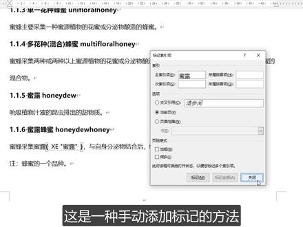 word索引 —— 索引的添加、手动标记和自动标记 (二) #word #wps #索引 #word教程