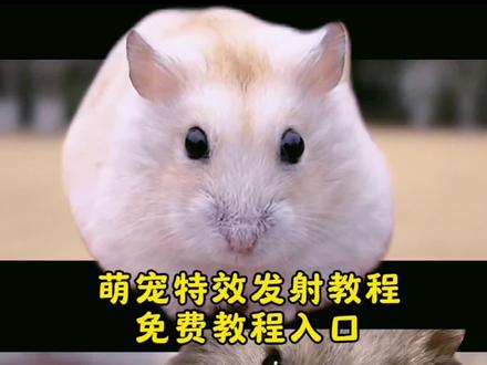 萌宠发射特技教程来了#剪映 #萌宠发射 萌宠发射特技教学 萌宠发射 萌宠发射特技教学 萌宠发射特技仓鼠 萌宠发射特技教学视频 萌宠特技 萌宠发射器 萌宠弹跳表演 萌宠特技遥控漂移车 萌宠吹发舞蹈教学 萌宠工位特效教学 萌宠发射特技仓鼠 萌宠仓鼠 萌宠发射玩具 萌宠小仓鼠 萌宠金大帅仓鼠 仓鼠萌宠 萌宠飞鼠 萌宠小仓鼠火箭车 萌宠召唤道具发送 萌宠飞球特效萌化了 小孩炮弹发射 萌宠炮弹发射 小孩炮弹发射特效 小孩炮弹发射 小孩炮弹视频 萌娃发射 小孩炮弹发射教程 小孩炮弹 小孩炮弹玩具 小孩炮弹发射创意视频 小孩火箭发射的视频 小孩炮弹发射教程 小孩炮弹视频 小孩炮弹发射 仓鼠炮弹发射教程 萌娃发射双胞胎博主 小孩炮弹 小孩炮弹发射教程仓鼠 小孩炮弹发射教程视频 儿童发射炮弹制做过程 孩子发射动作#萌宠发射特技 #发射小孩 #萌宠发射特技仓鼠