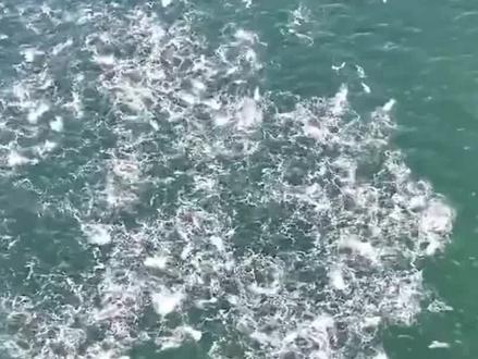 长江十年禁渔到底是福是祸?