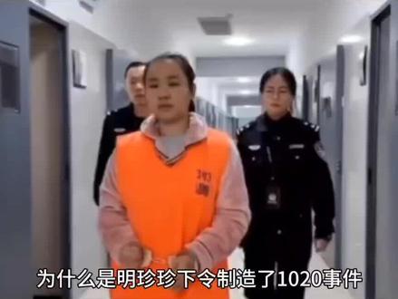 为什么是明珍珍下令制造了1020事件。