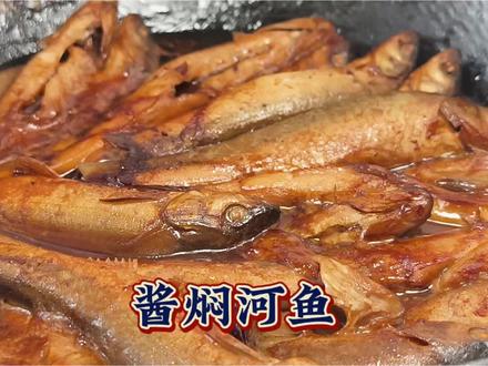 家庭版的酱焖河鱼,加一灌啤酒,没有一点异味#酱焖河鱼 #抖音美食推荐官 #抖音美食争霸赛