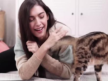 猫是驯化人类还是人类离不开猫#猫咪 #知识科普 #猫咪的迷惑行为 #猫 #科普涨知识
