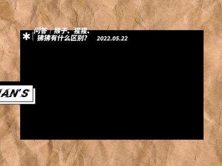 猴子、猩猩、狒狒有什么区别? #野生动物零距离 #奇妙的动物 #动物 #万物皆有灵性 #动物视界 #爱护大自然保护野生动物 #科普一下