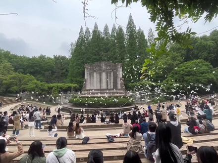 南京钟山风景区一日游
中山陵~音乐台~灵谷寺~美龄宫~明孝陵
妥妥的一日,中山陵免门票(小程序预约),其他景点买套票100,景区大,间隔远,可坐观光车,临时买单程就行,不要买观光车套票#南京 #南京钟山风景区