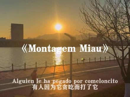 喵喵歌#MontagemMiau#挖你的鼻孔尿尿#音乐分享