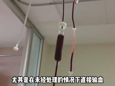 直系亲属间献血更安全?#献血 #直系亲属 #健康真知道